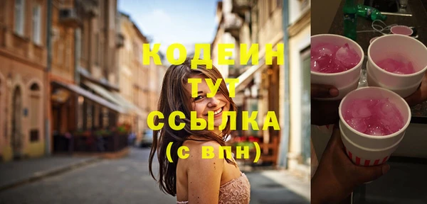 сатива Дмитриев