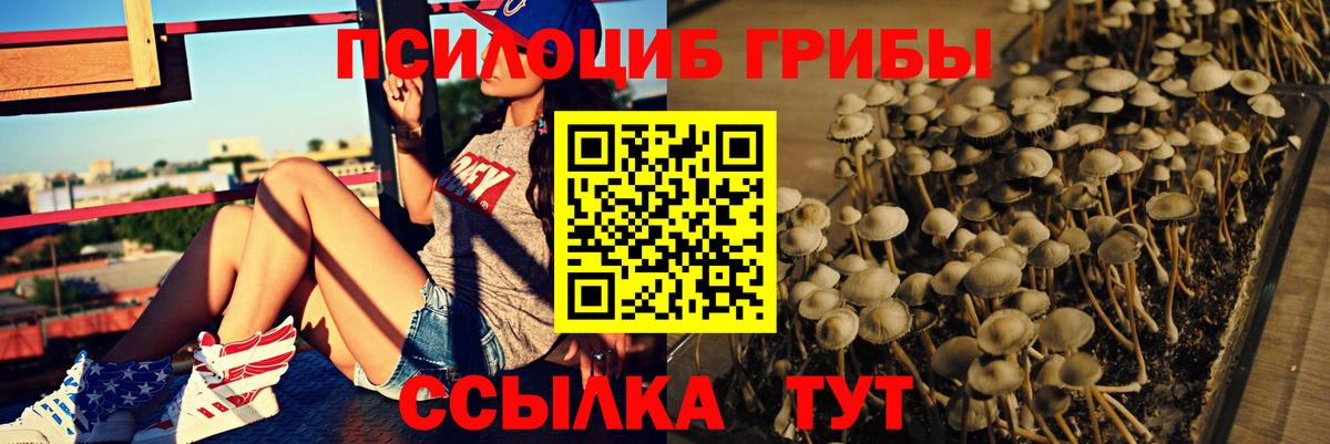 Псилоцибиновые грибы MAGIC MUSHROOMS Спасск-Дальний