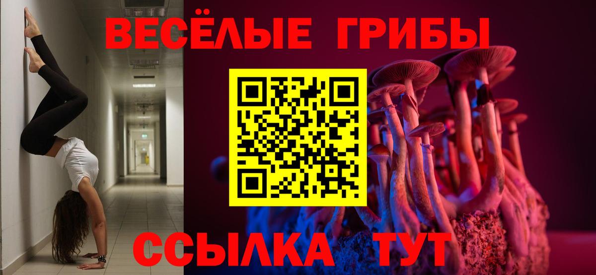 Спасск-Дальний  Галлюциногенные грибы мицелий  Вход с VPN 